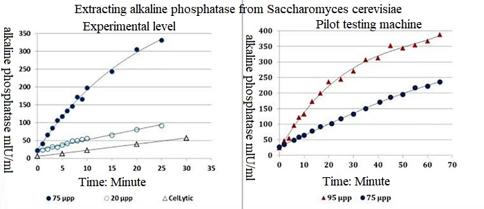 Ultrasonic Cell fragmentation 1 Ultrasonic Cell fragmentation 1